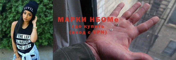 твердый Арсеньев