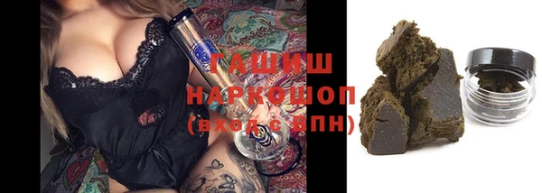 прущие грибы Осташков