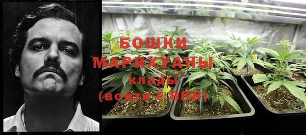 a pvp Аркадак