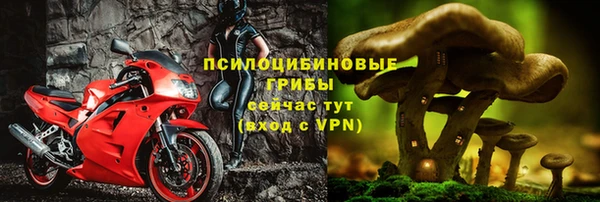 a pvp Аркадак