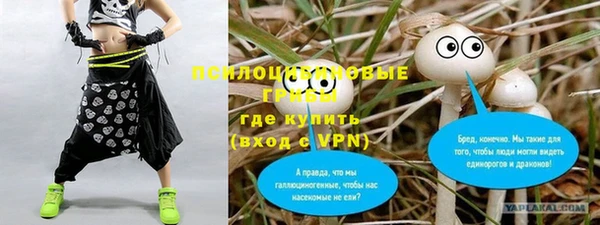 a pvp Аркадак