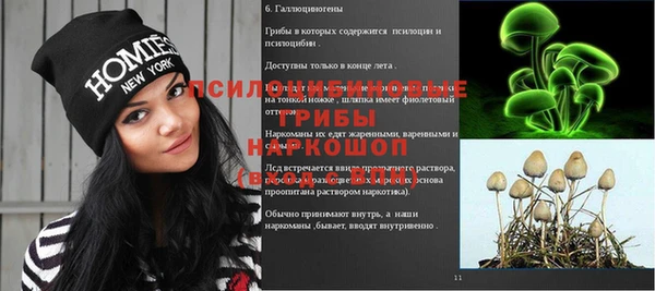 твердый Арсеньев
