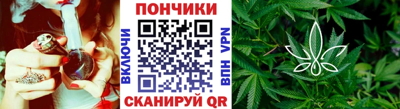 Марихуана планчик  Спасск-Рязанский 